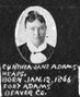 Cynthia Jane Adams Cynthia Jane Adams