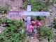 Delbert Elliot Worthen Grave Marker